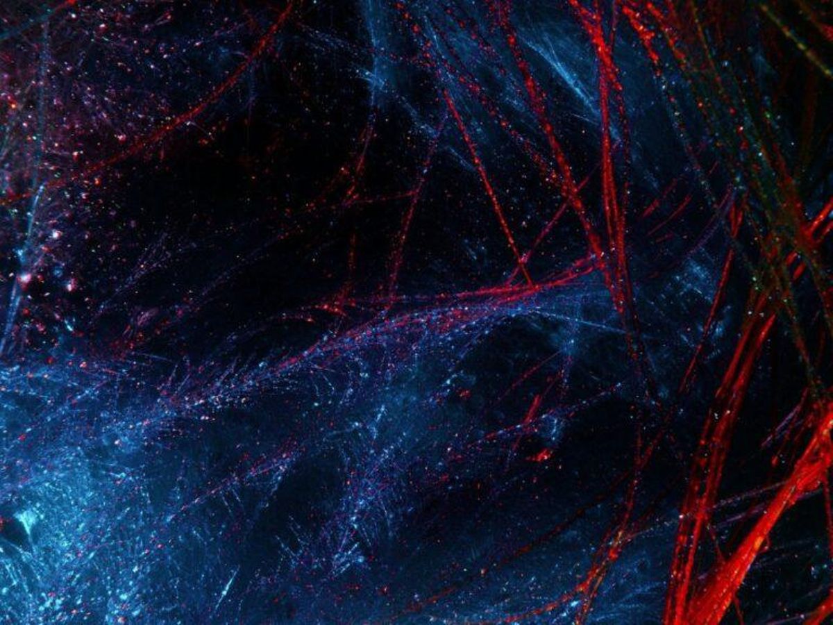 Buscando materia oscura, podrían haber descubierto energía oscura Buscando materia oscura, podrían haber descubierto energía oscura