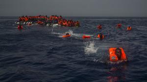 SOS de les oenagés del Mediterrani