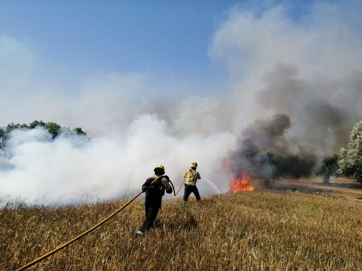 Los bomberos apagan un incendio en la Pobla de Massaluca Los bomberos apagan un incendio en la Pobla de Massaluca