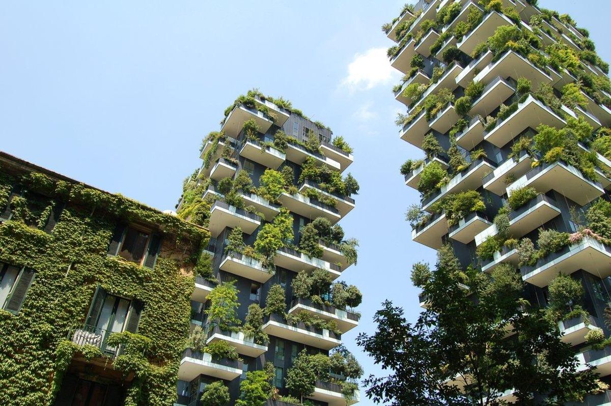 La ‘agritectura’ o agricultura vertical es una manera de cultivar de forma doméstica. La ‘agritectura’ o agricultura vertical es una manera de cultivar de forma doméstica.