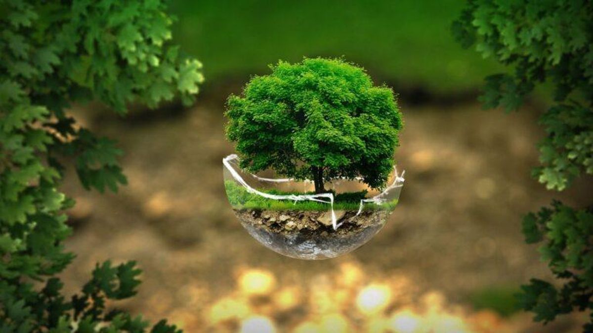 Cómo crear tu propia rutina ‘ecofriendly’ Cómo crear tu propia rutina ‘ecofriendly’