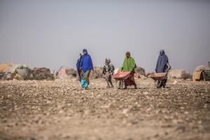 13 millones de personas en riesgo de hambruna en el Cuerno de África