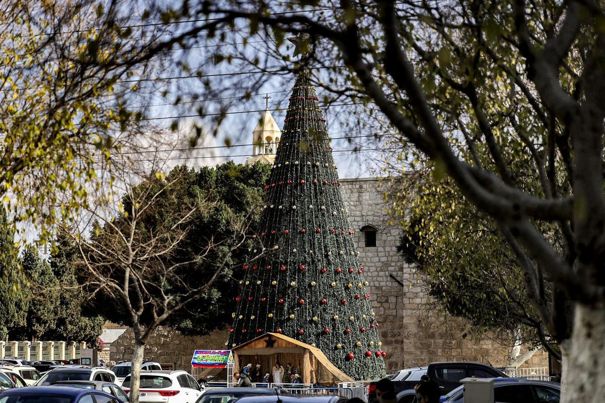 El árbol de Navidad en la plaza Manger de Belén