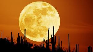 Superluna de la cosecha captada en Arizona (EEUU).