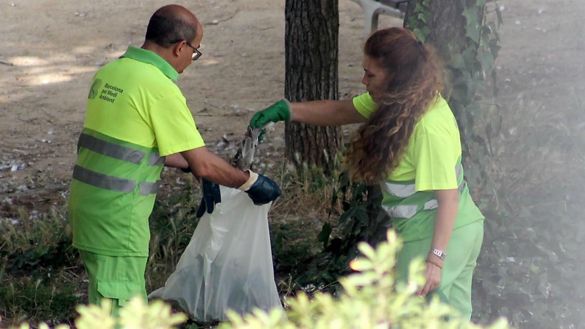 Técnicos del área de Medio Ambiente del Ayuntamiento de Barcelona recogen tórtolas muertas en el Poble-sec, la semana pasada.