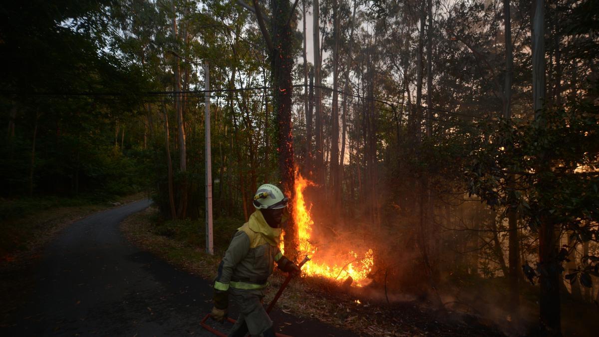 nem a especulação nem os empreendimentos de extinção são geralmente a causa