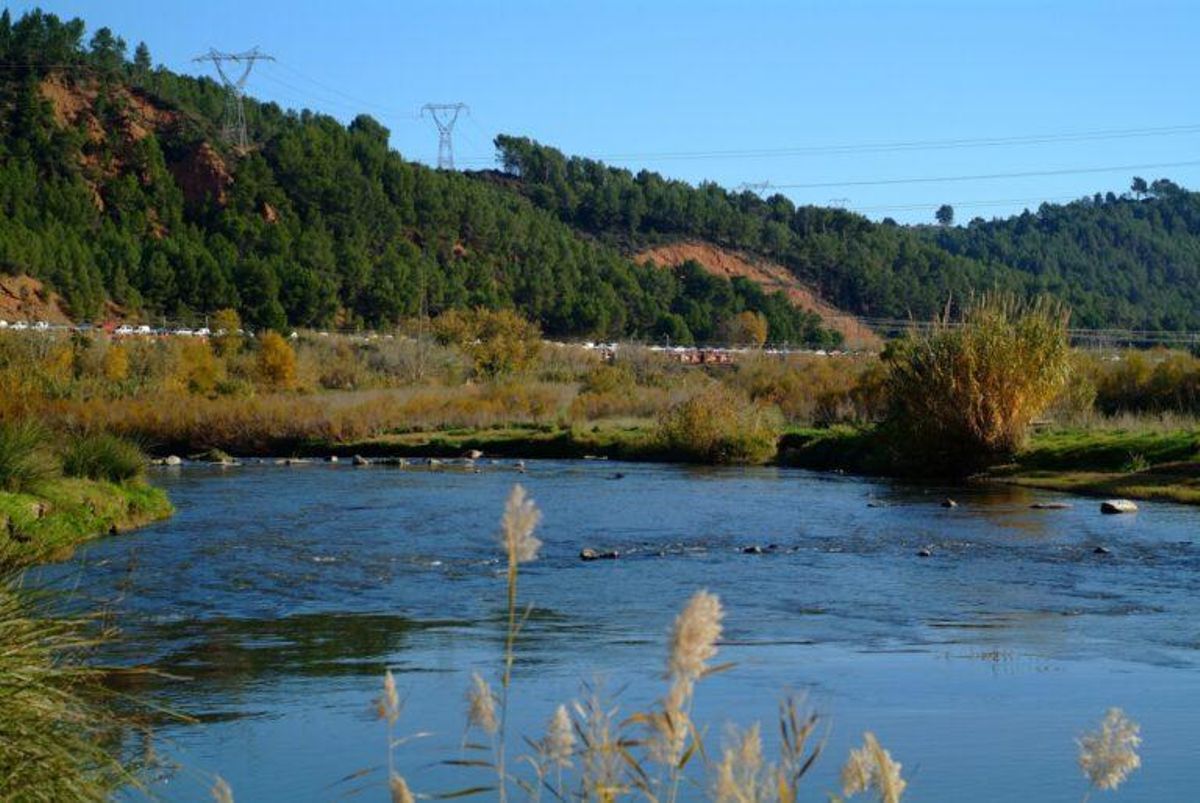 Continúa la recuperación el río Llobregat con actuaciones en Sant Vicenç dels Horts, Sant Boi y Santa Coloma de Cervelló Continúa la recuperación el río Llobregat con actuaciones en Sant Vicenç dels Horts, Sant Boi y Santa Coloma de Cervelló