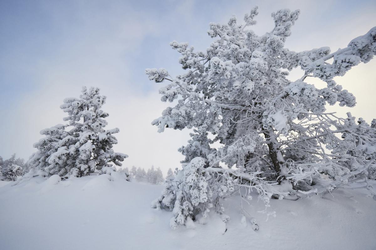 El tiempo invernal con nevadas, frío y viento llega este domingo, 15 de enero