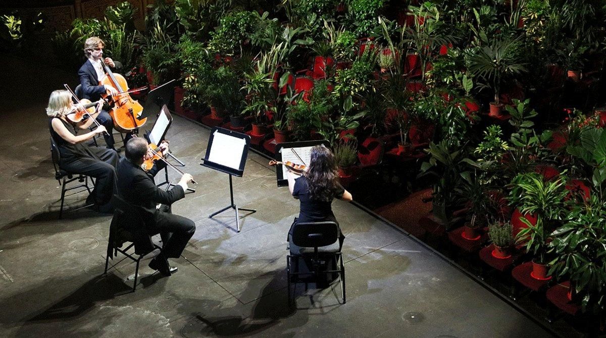 Un momento del primer concierto con plantas como público celebrado en el Liceu, el 22 de junio. Un momento del primer concierto con plantas como público celebrado en el Liceu, el 22 de junio.