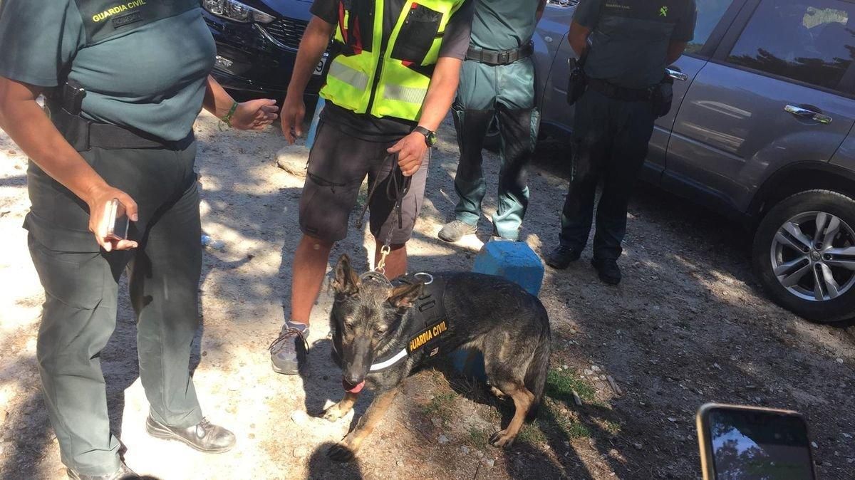 La perra Xena de la Guardia Civil que ha encontrado el cuerpo de Blanca Fernández Ochoa. La perra Xena de la Guardia Civil que ha encontrado el cuerpo de Blanca Fernández Ochoa.