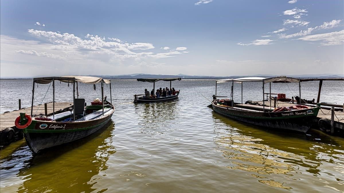 Barcas navegando por la Albufera de Valencia, este miércoles. Barcas navegando por la Albufera de Valencia, este miércoles.