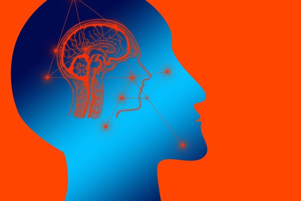 Mirando el cerebro se puede descubrir la ideología de una persona