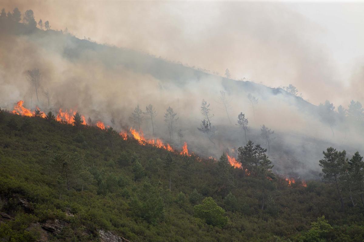 El fuerte calor dispara el riesgo de incendio en amplias zonas de España