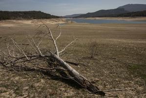¿Por qué es tan grave esta sequía? Claves de una crisis que llegó para quedarse
