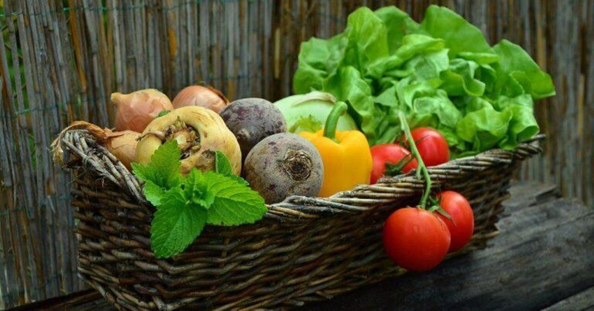 La regla de cinco: la receta que adelgaza y alarga la vida, según los expertos La regla de cinco: la receta que adelgaza y alarga la vida, según los expertos