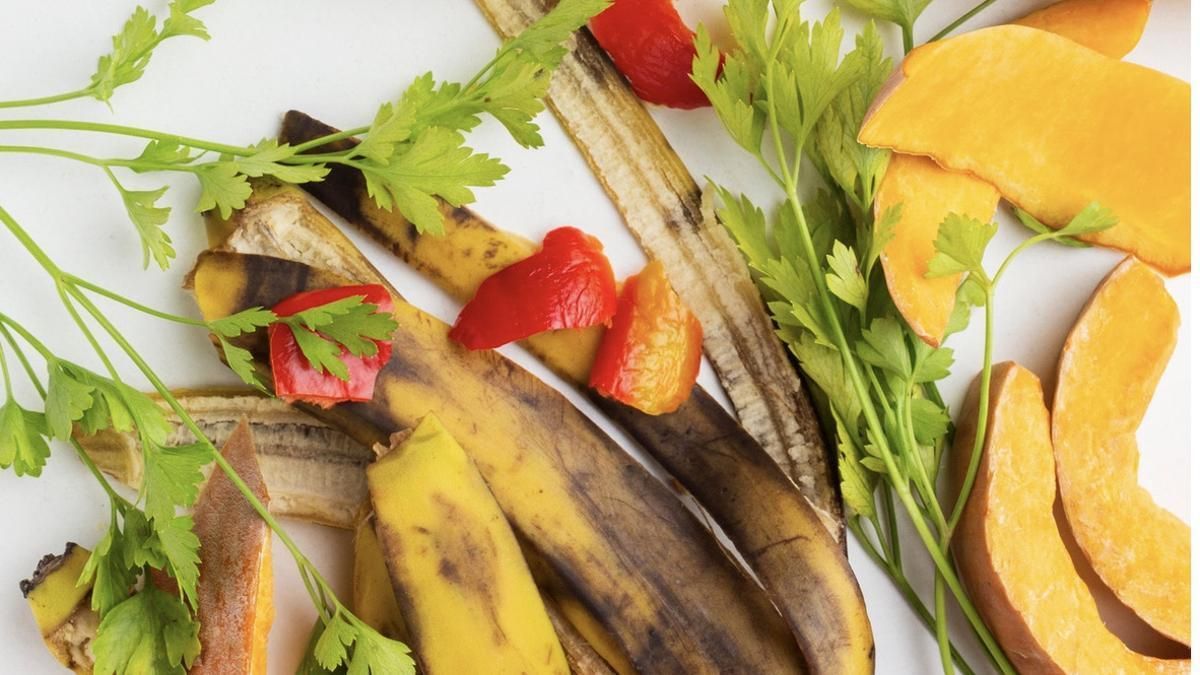 Las partes desechables de las verduras también se pueden aprovechar. Las partes desechables de las verduras también se pueden aprovechar.