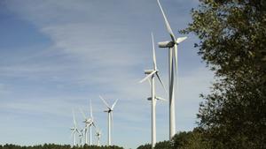 El Gobierno vuelve a subastar capacidad renovable en medio de la tensión con las grandes eléctricas
