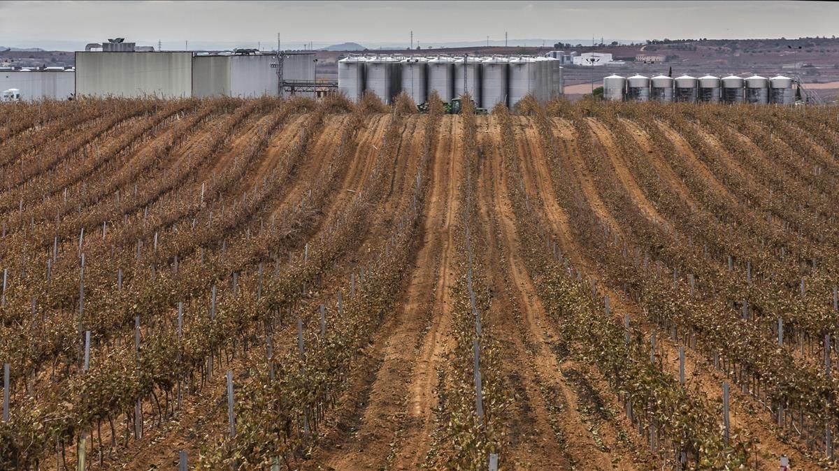 Nova batalla per la terra del cava Nova batalla per la terra del cava