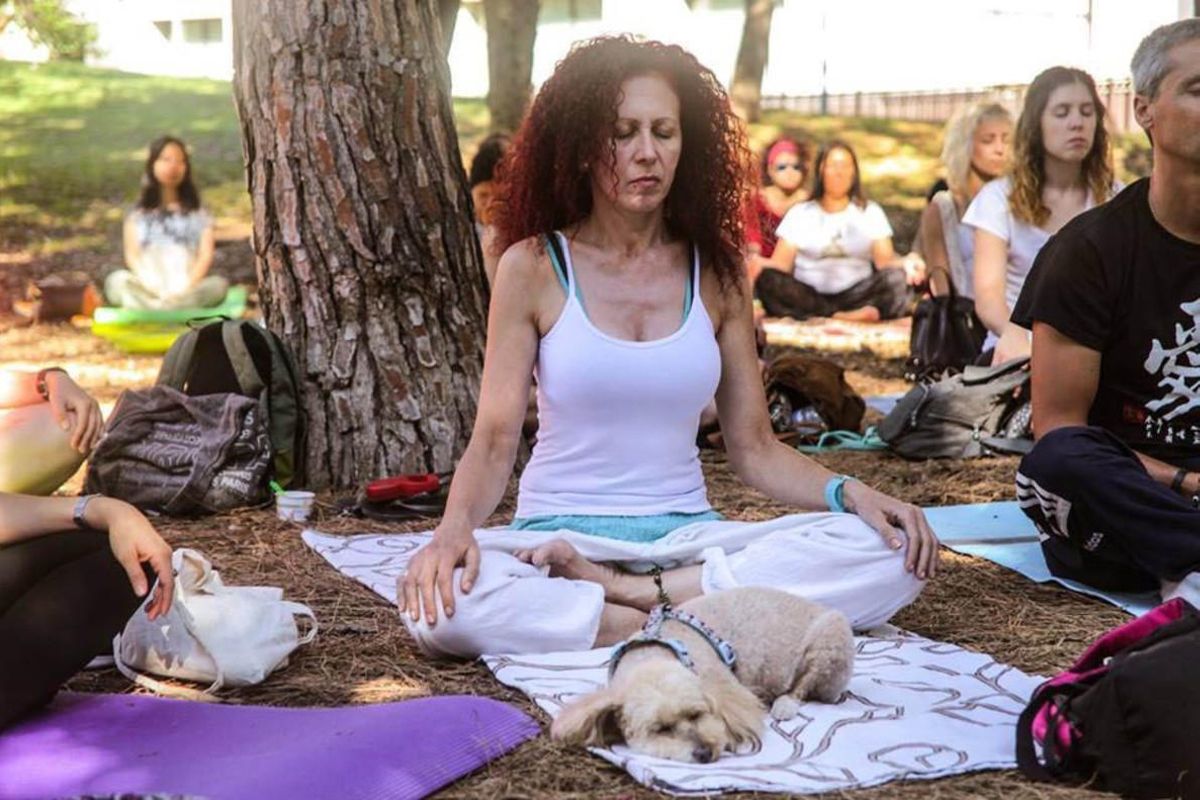 Una sesión del Barcelona Yoga Day. Una sesión del Barcelona Yoga Day.