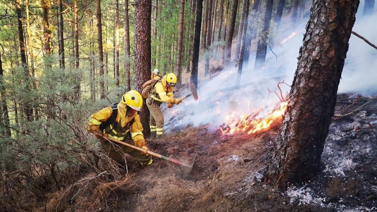 Labores de extinción en el incendio de Gran Canaria. Labores de extinción en el incendio de Gran Canaria.