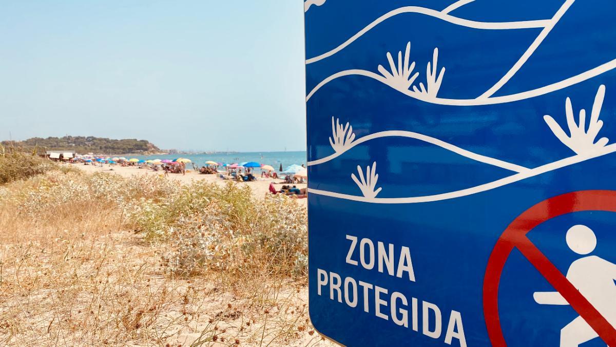Una zona protegida en la costa catalana. 