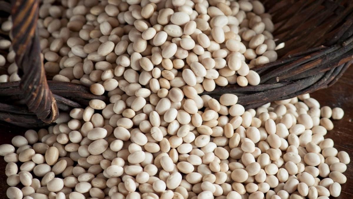 ’Fesols’ de Santa Pau, un producto de esencia volcánica. ’Fesols’ de Santa Pau, un producto de esencia volcánica.