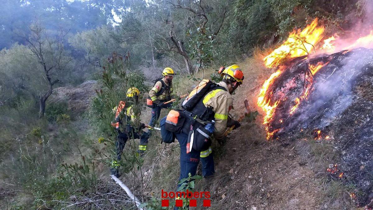 Un incendi actiu a Tortosa crema 30 hectàrees