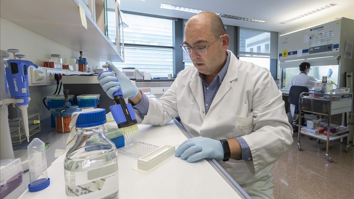 El investigador Jesús Rodríguez en el laboratorio de microbiología de la Universitat de València