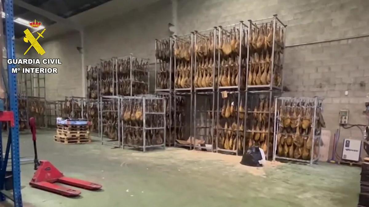 Incautadas más de 50 toneladas de falsos jamones de pata negra con «moho y gusanos» en Sevilla