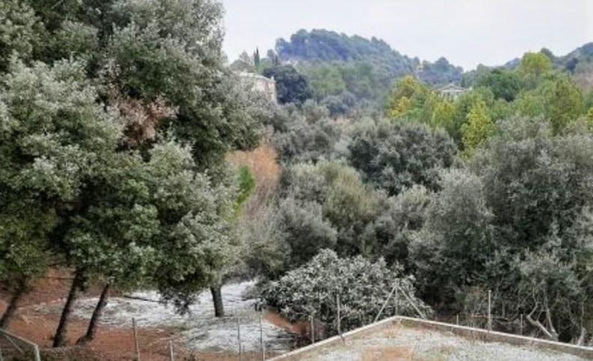 El Vallès Occidental pren precaucions davant les possibles gelades i nevades per les baixes temperatures El Vallès Occidental pren precaucions davant les possibles gelades i nevades per les baixes temperatures