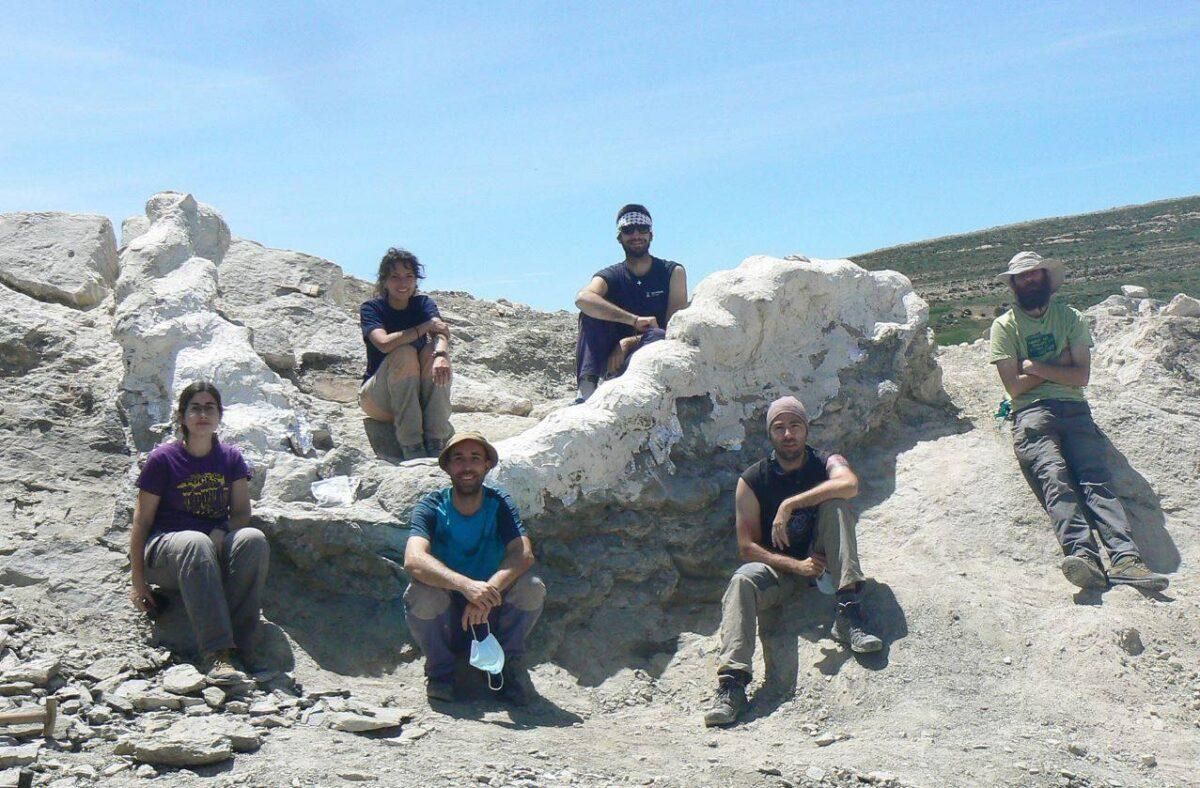 Descubren en Teruel la columna vertebral de un dinosaurio gigante Descubren en Teruel la columna vertebral de un dinosaurio gigante