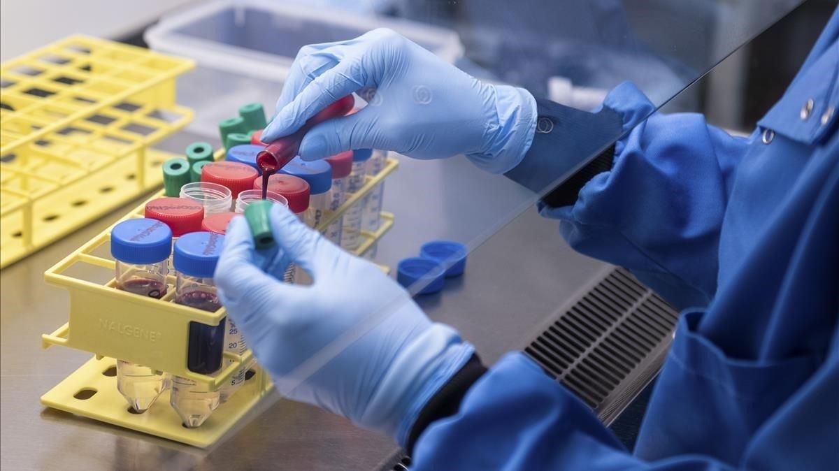 Un investigador trabaja en una vacuna experimental. Un investigador trabaja en una vacuna experimental.