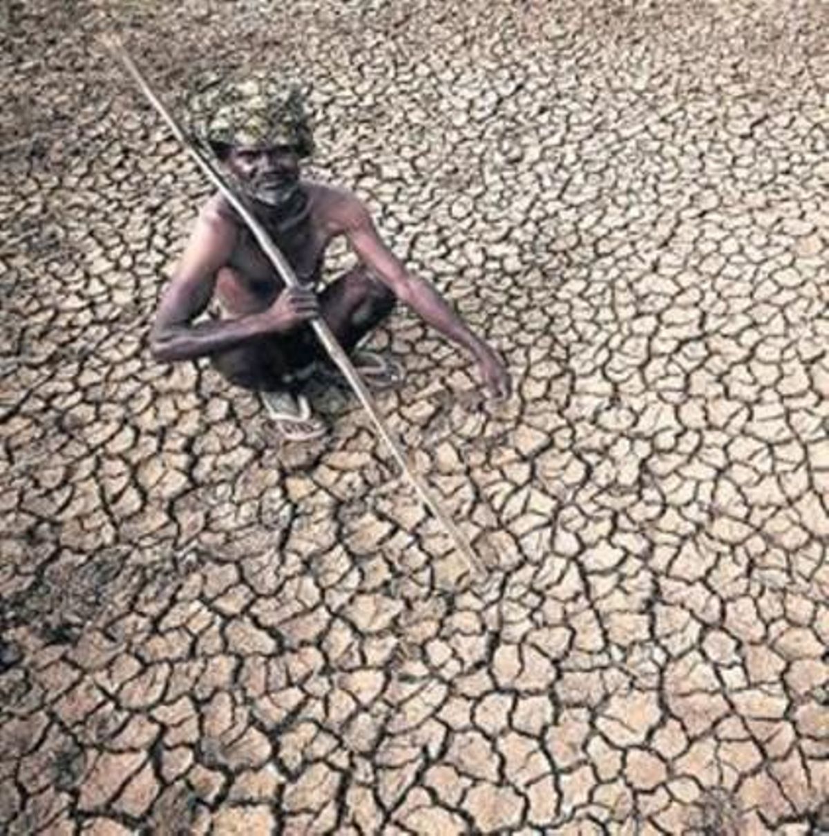 Un granjero en sus sedientas tierras en Gauribidamur, el la India. Un granjero en sus sedientas tierras en Gauribidamur, el la India.