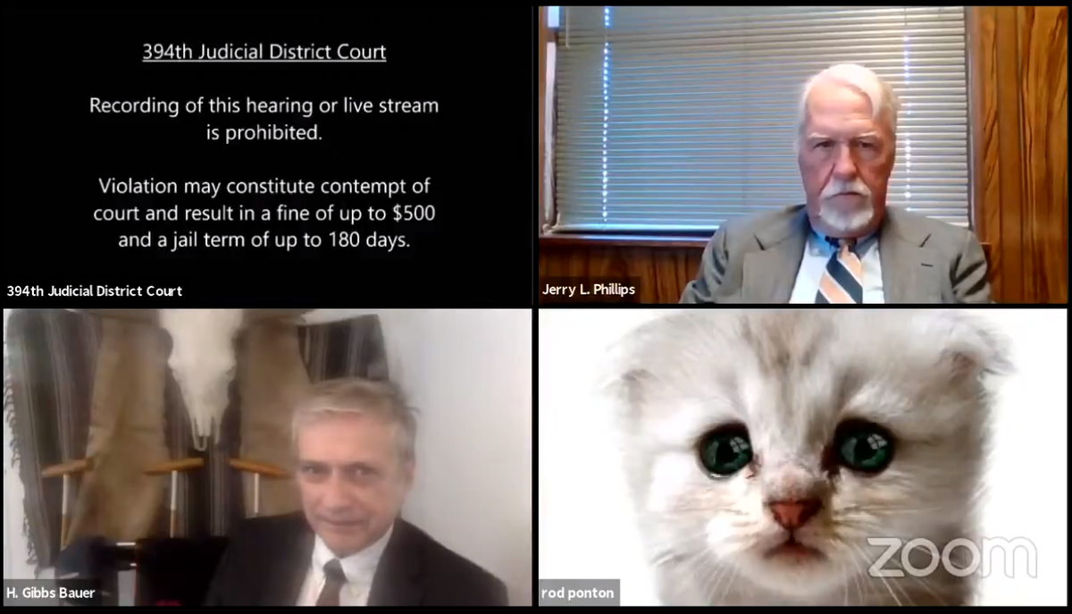 Un abogado aparece con un filtro de gato en un juicio virtual en Tejas
