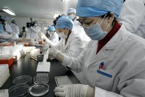 Un grup d’investigadors fan una anàlisi de sang a la Xina.