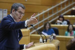 El líder del PP, Alberto Núñez Feijóo, interviene en el debate del Senado, este martes en Madrid.