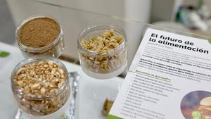 Propuestas de alimentos desarrollados a base de proteína de insecto en Alimentaria Foodtech