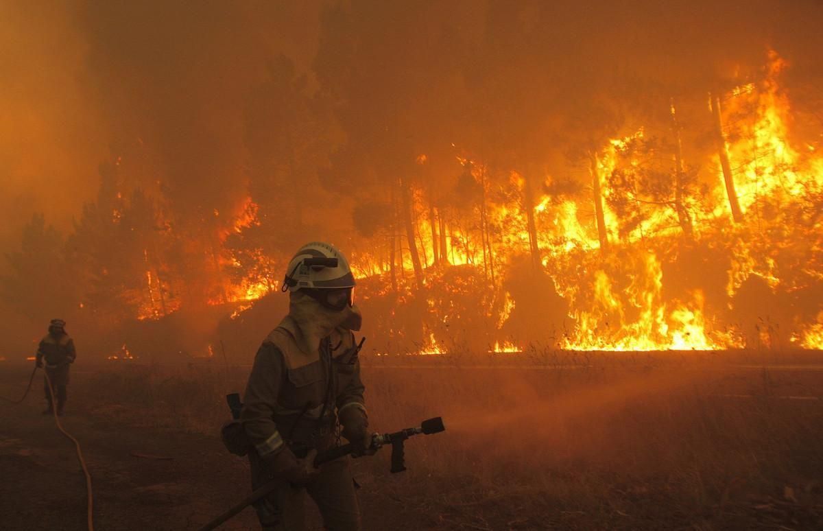 Risc d’incendi a Catalunya: aquestes són les zones amb més perill pel pic de calor aquest cap de setmana Risc d’incendi a Catalunya: aquestes són les zones amb més perill pel pic de calor aquest cap de setmana