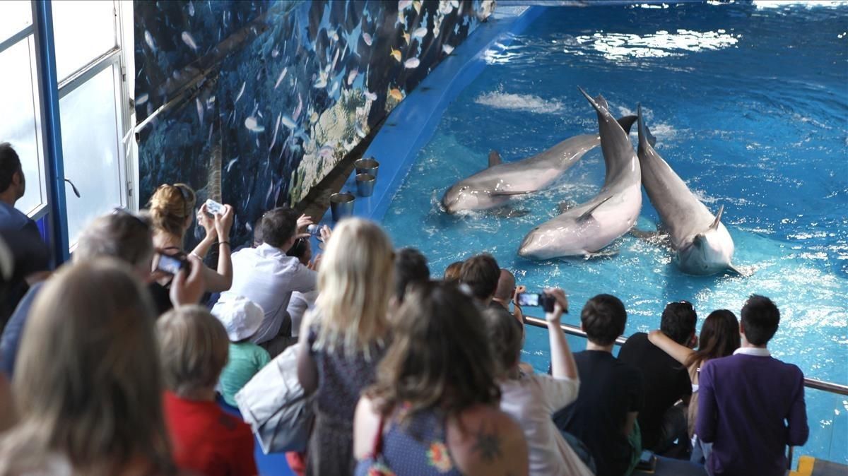 Pabellón de los delfines del Zoo de Barcelona, en 2012. Pabellón de los delfines del Zoo de Barcelona, en 2012.