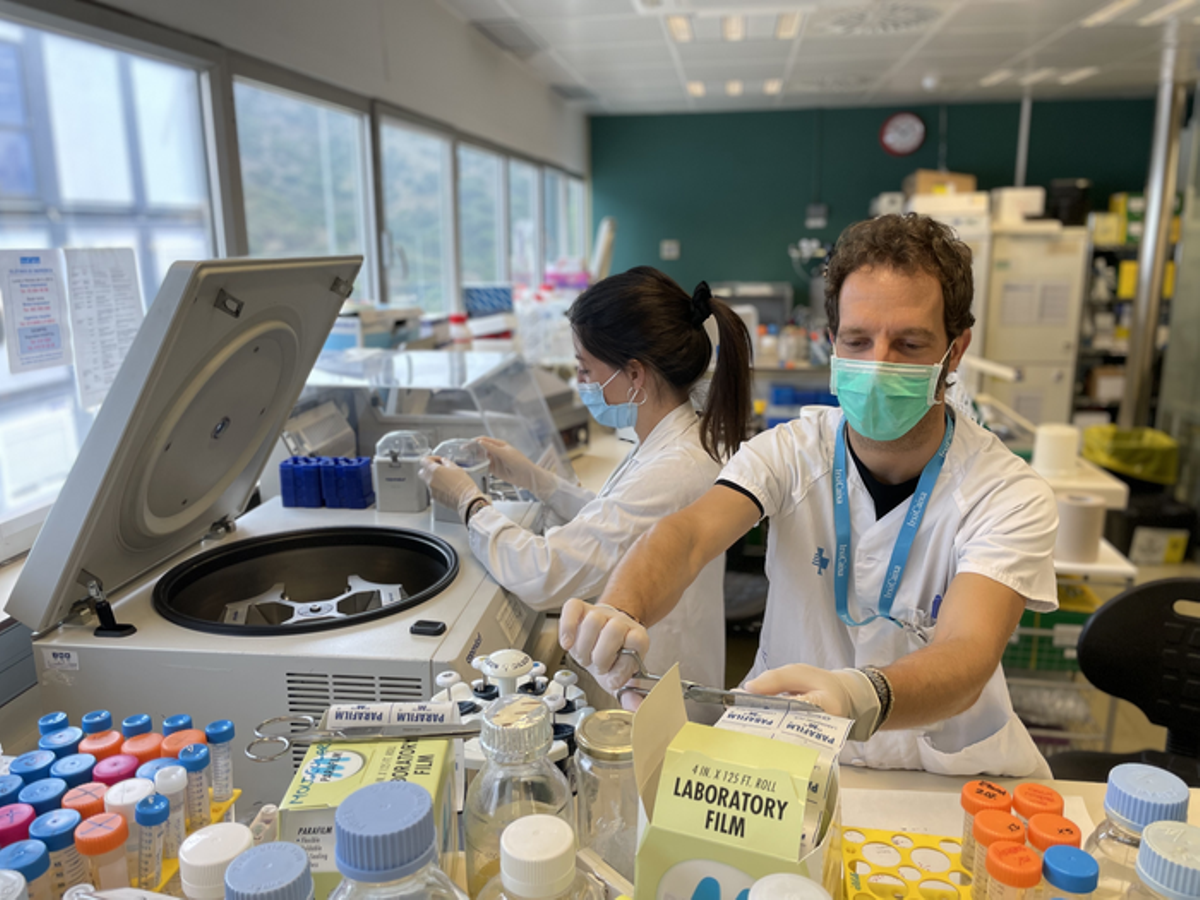 Un equipo de investigadores trabaja en el estudio de un fármaco antirretroviral. 