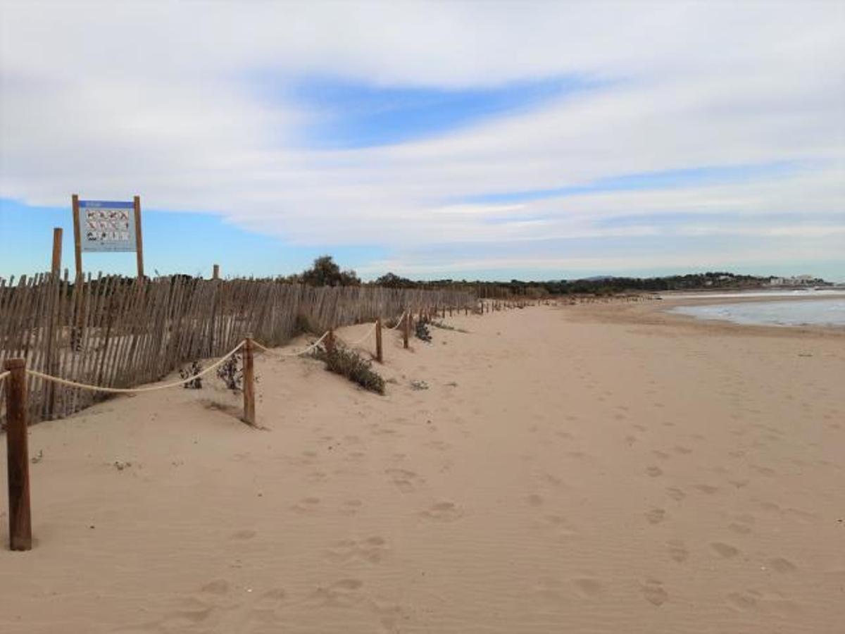 Se han colocado nuevos carteles informativos, repuesto las vallas, y plantado vegetación dunar de refuerzo del ecosistema Se han colocado nuevos carteles informativos, repuesto las vallas, y plantado vegetación dunar de refuerzo del ecosistema