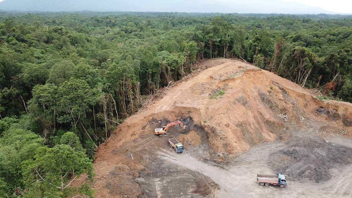 Imagen de la selva tropical de Borneo, en Malasia, explotada para fines madereros.