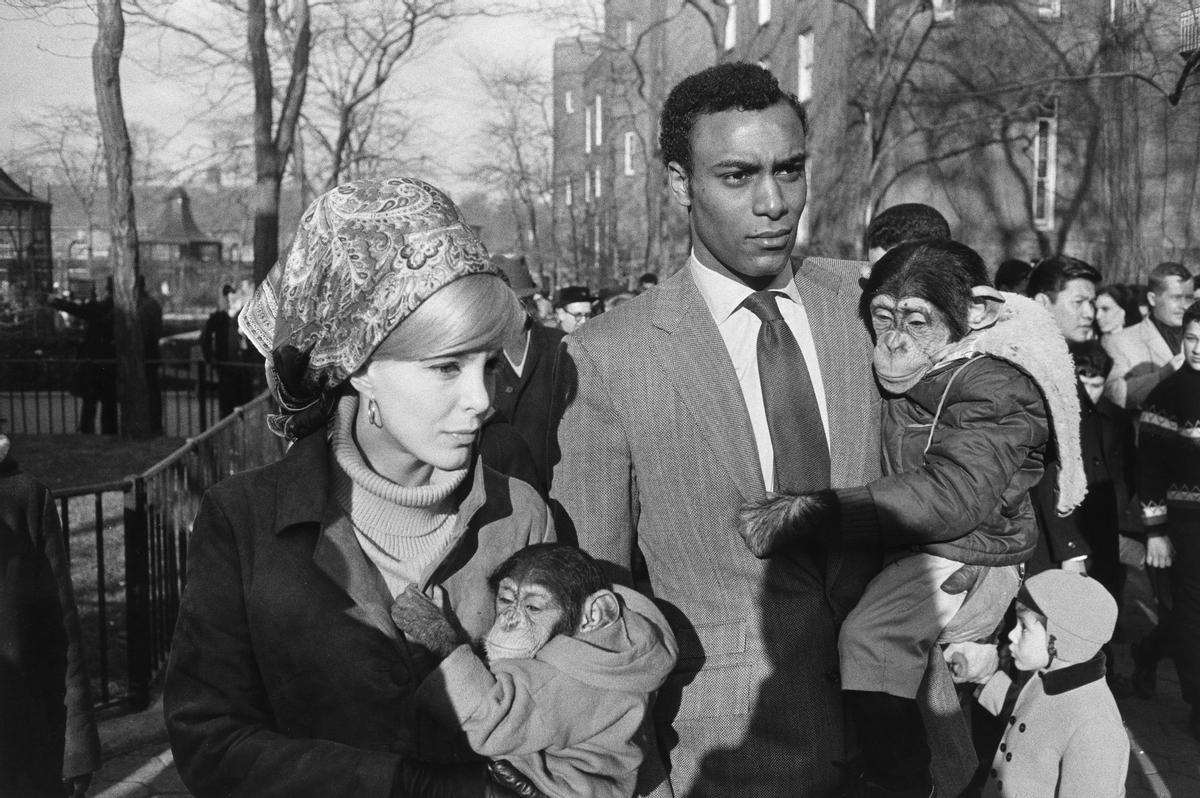 Zoo de Central Park, Nueva York, 1967.