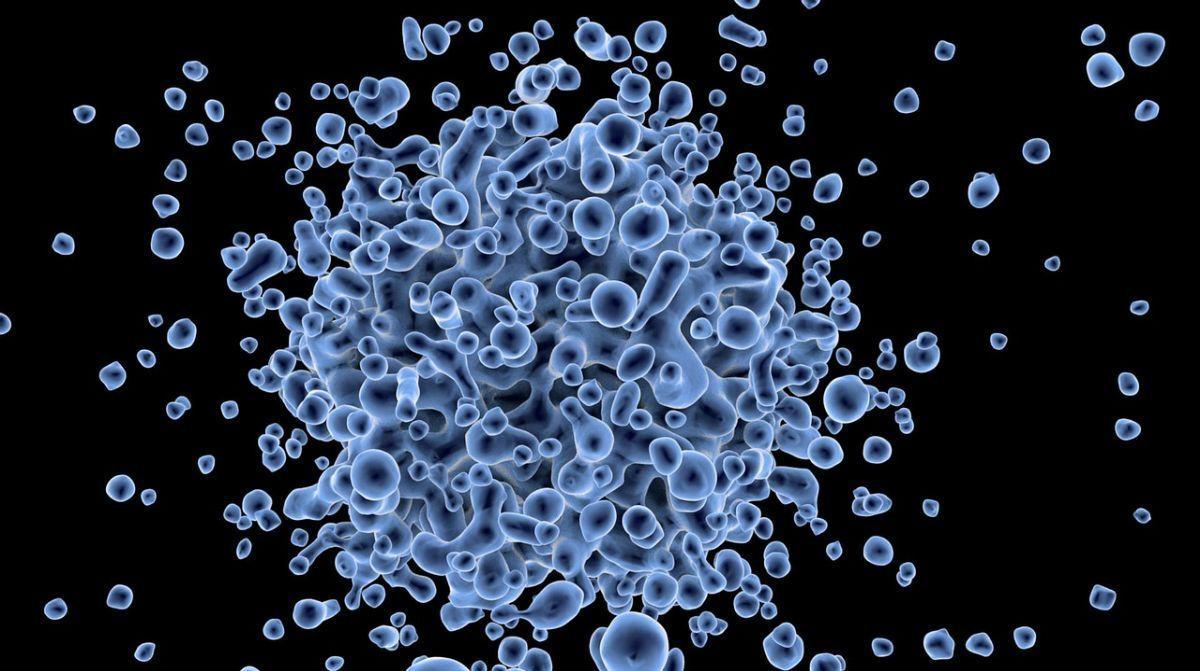 Un virus experimental que "infecta" a las células podría acabar con el cáncer
