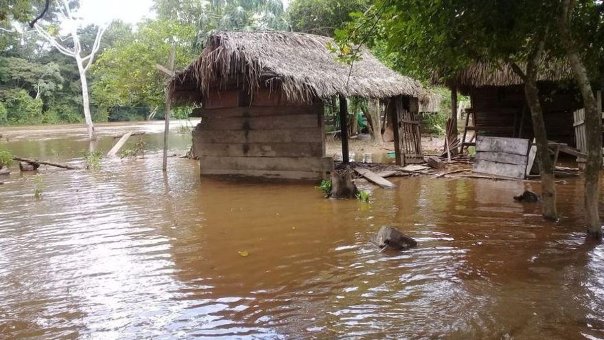 Les tempestes a Bolívia deixen almenys vuit morts i 4.600 famílies desplaçades Les tempestes a Bolívia deixen almenys vuit morts i 4.600 famílies desplaçades