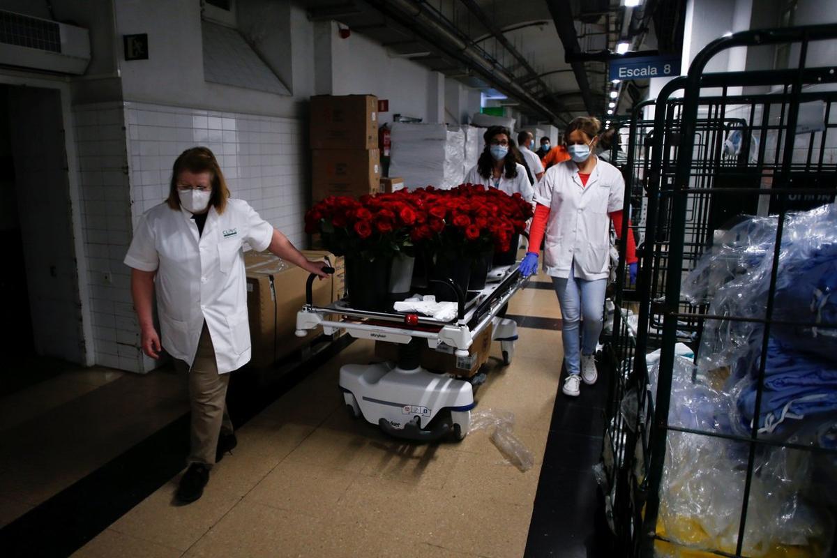 El personal del Clínic reparte las rosas enviadas por el Gremi de Floristes de Catalunya.