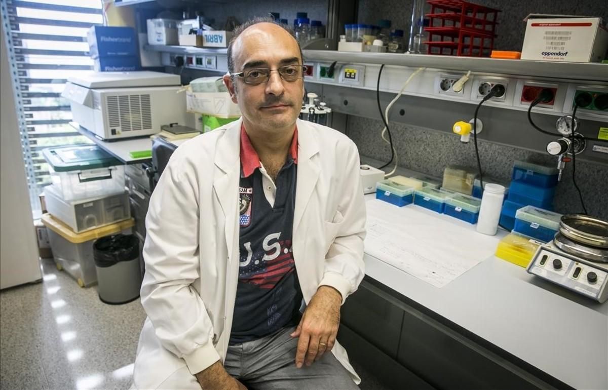 Carles Lalueza-Fox, investigador del Institut de Biologia Evolutiva de Barcelona (IBE), centro mixto CSIC-UPF, que ha encabezado el análisis genético de las muestras con el parásito plasmodio. Carles Lalueza-Fox, investigador del Institut de Biologia Evolutiva de Barcelona (IBE), centro mixto CSIC-UPF, que ha encabezado el análisis genético de las muestras con el parásito plasmodio.