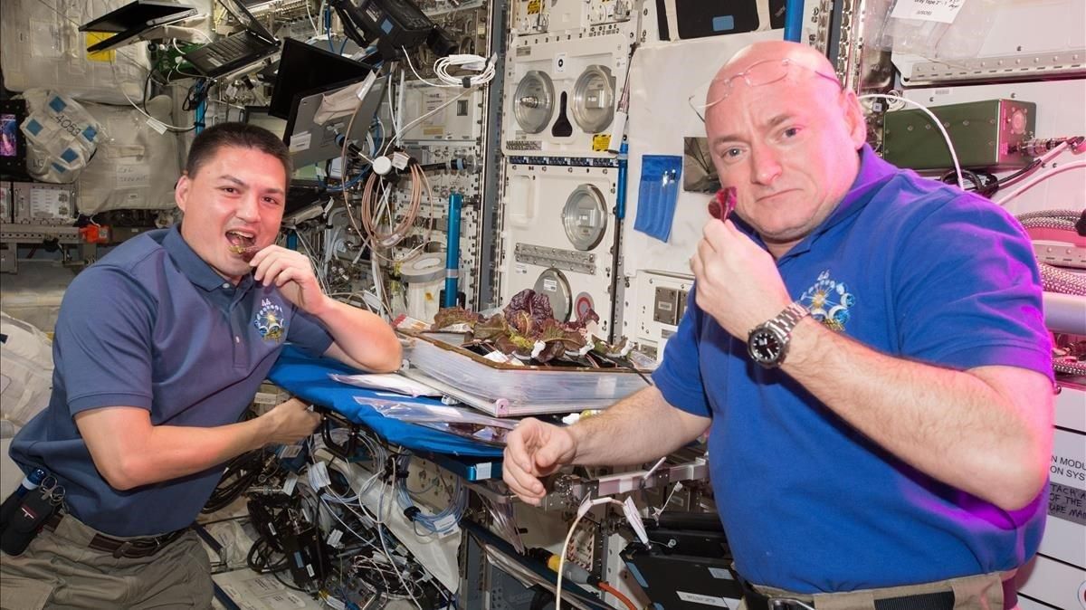 Los astronautas Scott Kelly y Kjell Lindgren disfrutan de unos brotes de lechuga espacial a bordo de la Estación Espacial Internacional, en una imagen de archivo del 2014 Los astronautas Scott Kelly y Kjell Lindgren disfrutan de unos brotes de lechuga espacial a bordo de la Estación Espacial Internacional, en una imagen de archivo del 2014