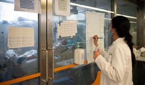 Un paciente grave de covid en el Hospital Clínic de Barcelona 