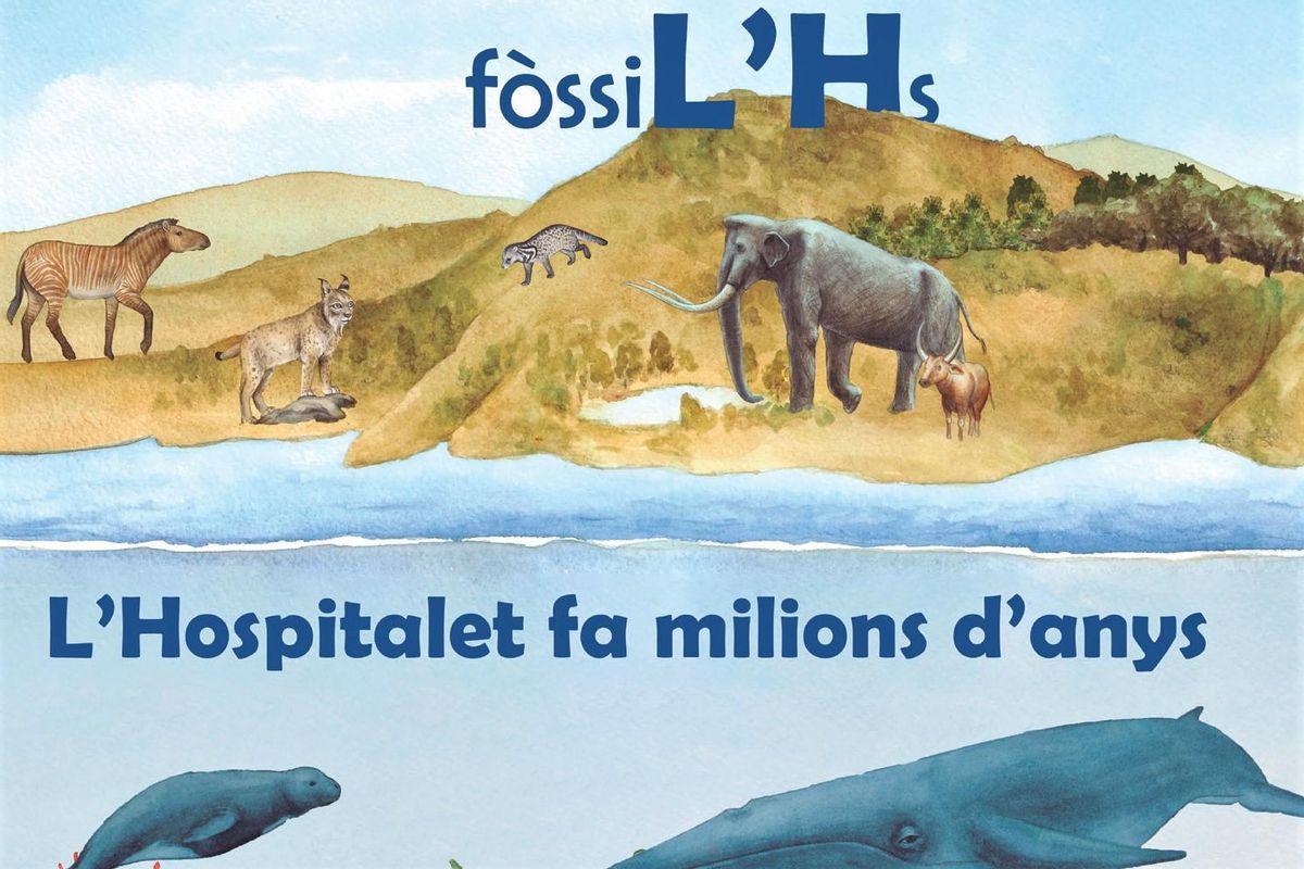 L’exposició ‘FòssiL’Hs’ proposa un viatge a l’Hospitalet de Llobregat de fa milions d’anys L’exposició ‘FòssiL’Hs’ proposa un viatge a l’Hospitalet de Llobregat de fa milions d’anys